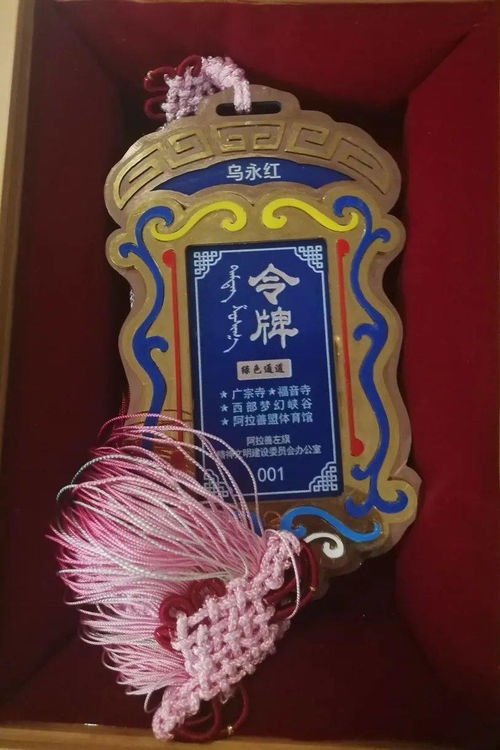 烏永紅老師獲阿左旗見義勇為模范獎