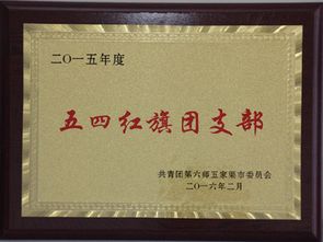 五家渠市政府 五家渠第三小學團支部榮獲師市 五四紅旗團委 稱號
