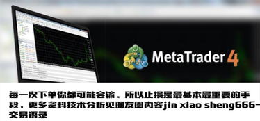 一個農村程序員的炒匯之路 重整旗鼓,開始偷師學習之路