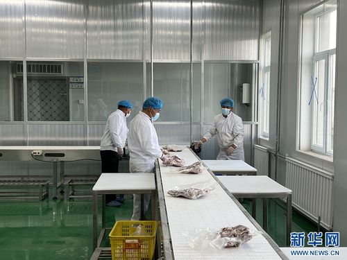 青海海南州 農畜產品促振興，高原沃野展新顏